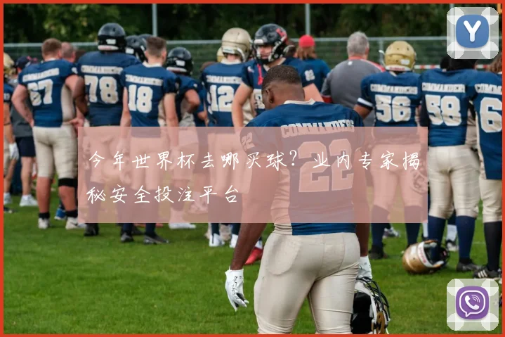 今年世界杯去哪买球?业内专家揭秘安全投注平台