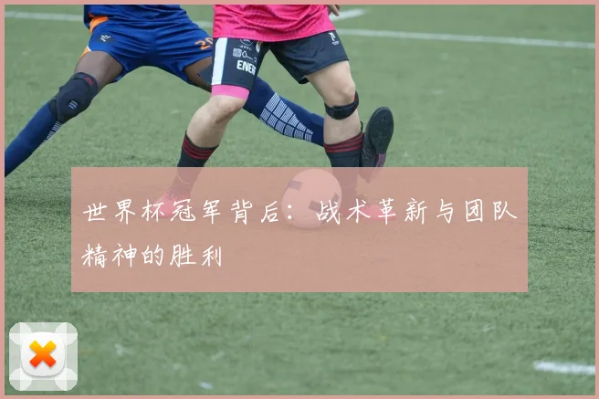 世界杯冠军背后:战术革新与团队精神的胜利