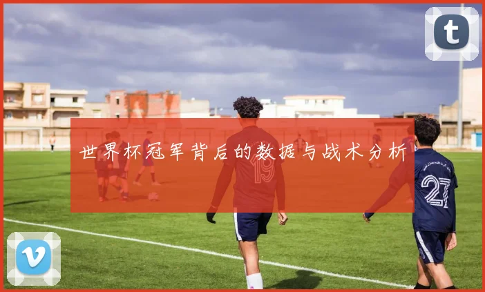 世界杯冠军背后的数据与战术分析