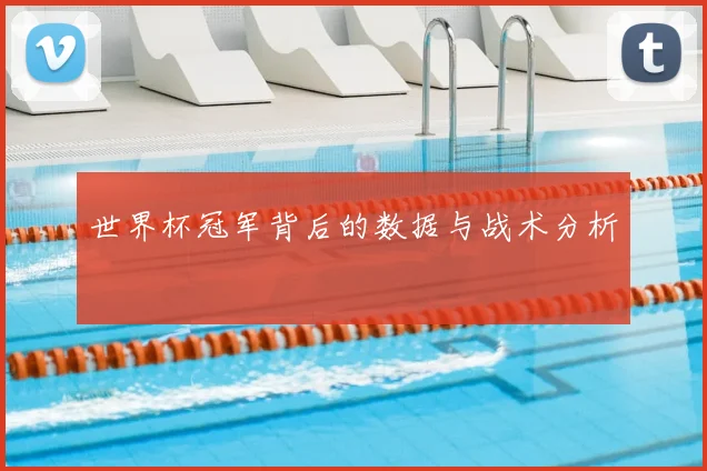 世界杯冠军背后的数据与战术分析