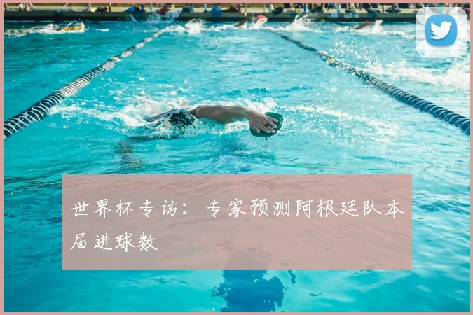 世界杯专访:专家预测阿根廷队本届进球数