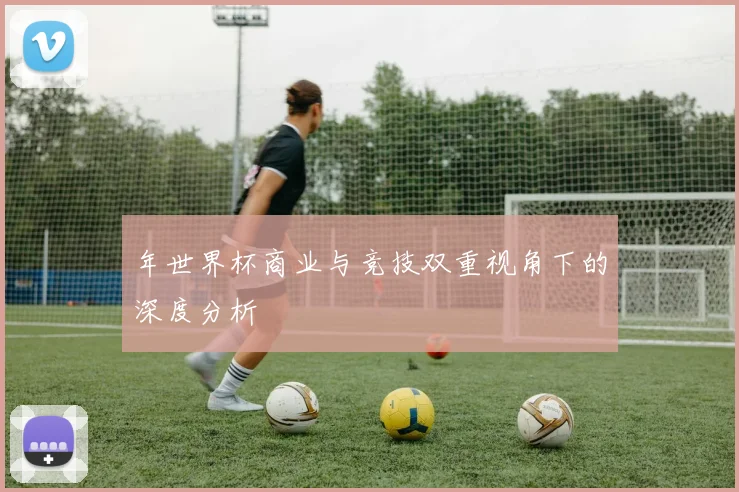 年世界杯商业与竞技双重视角下的深度分析